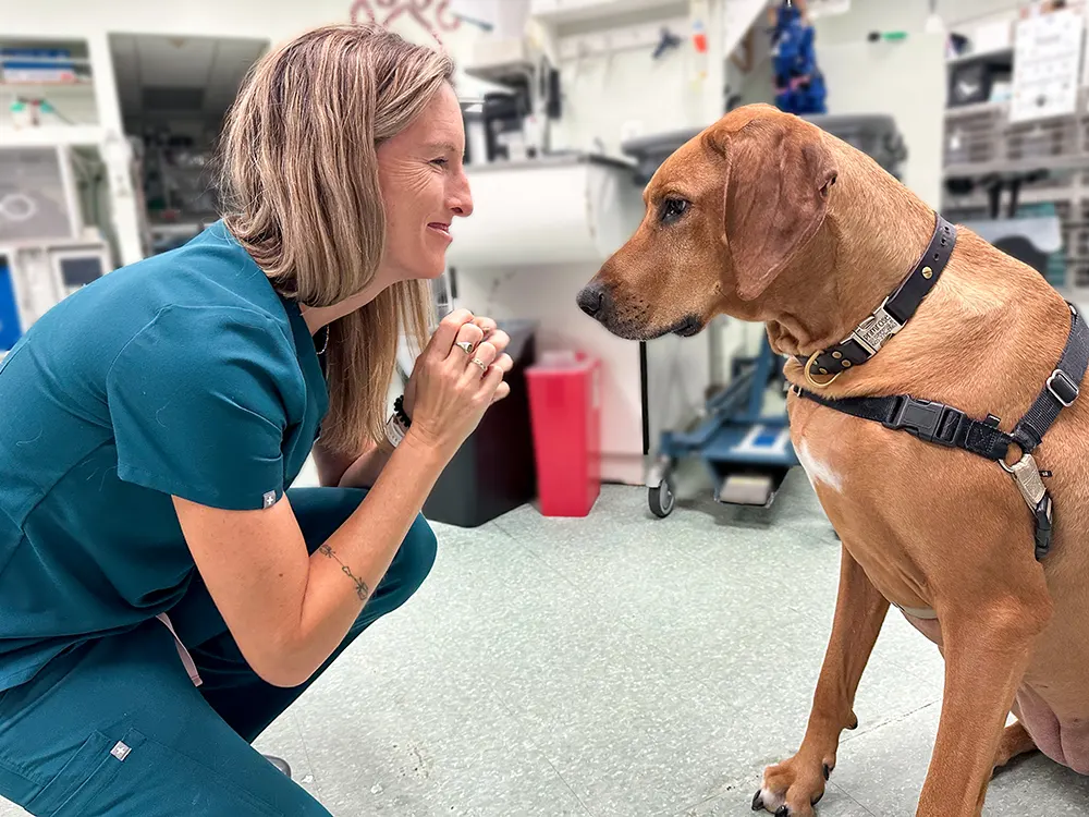 Doctor and Dog Image